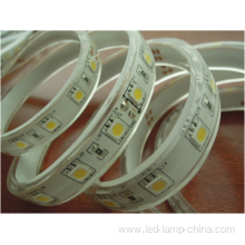 Waterproof 24V 5050 Flexible LED Strip